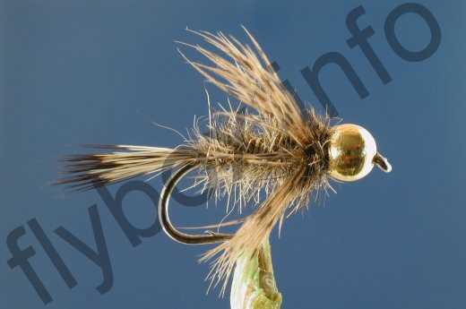 Shaggy Hare's Ear GH
